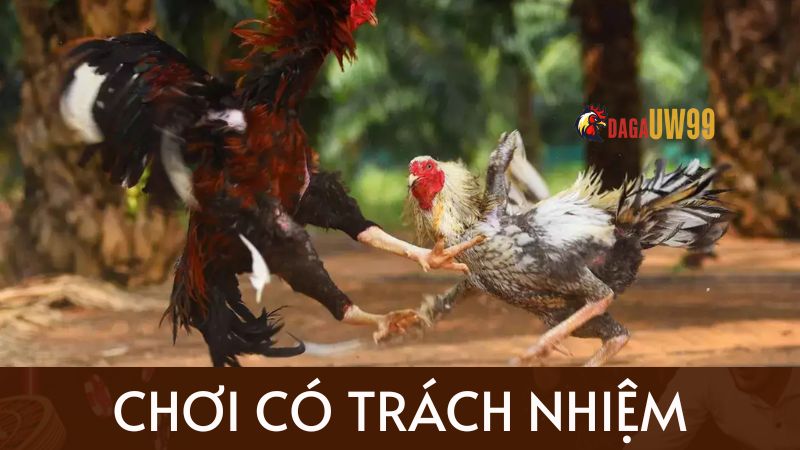 choi co trach nhiem dagauw99 com