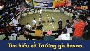 truong ga savan